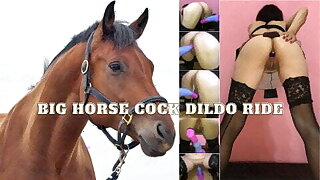 Amateur wife takes big horse cock dildo